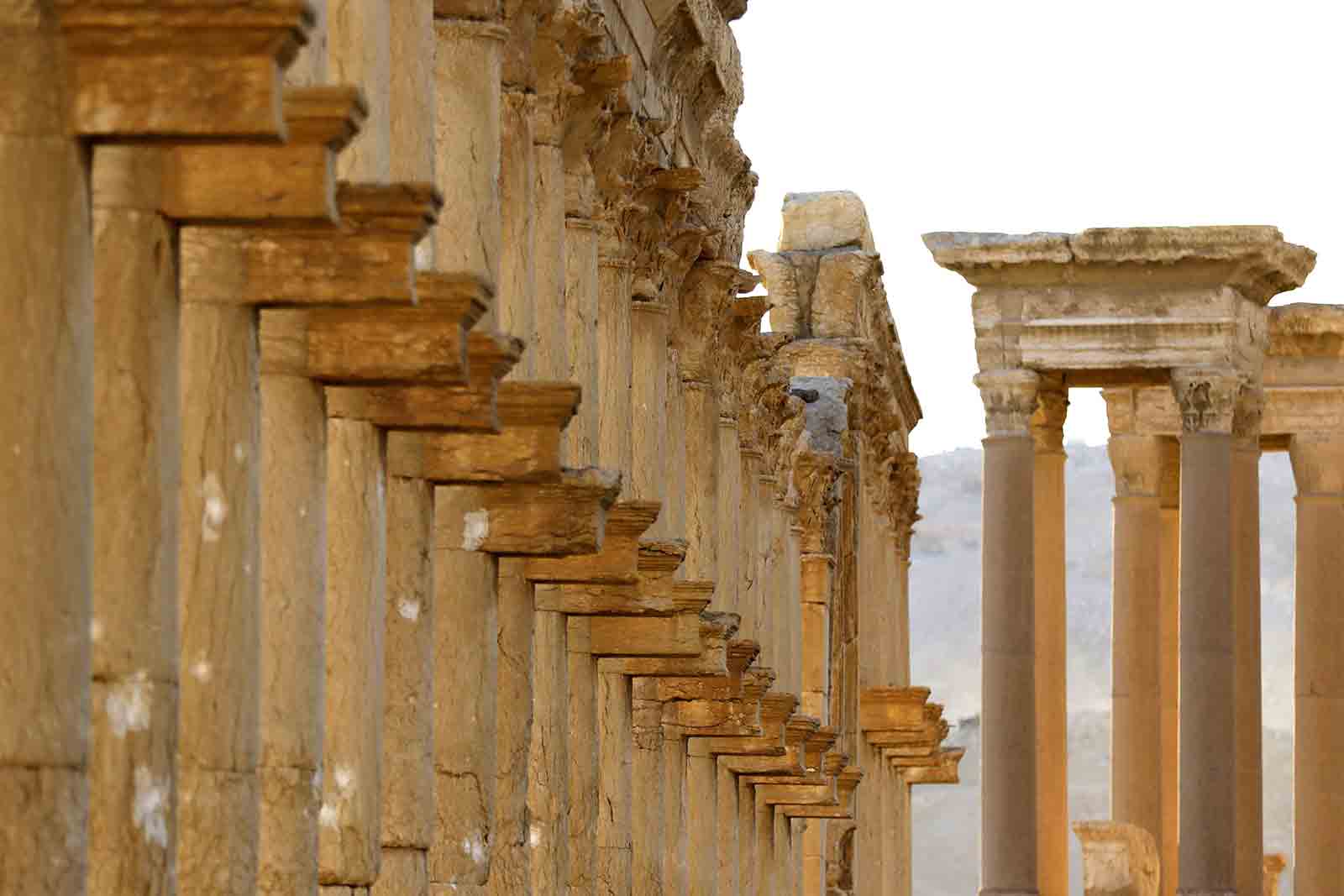 Tra le rovine di Palmira (Getty Images)